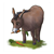 Brown Donkey Color PDF