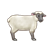 White Sheep Color PNG