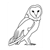 Barn Owl Line PDF
