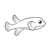 Pufferfish Line PDF