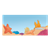 Coral Reef Color PNG