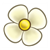 White Flower Color PDF