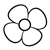 White Flower Line PNG