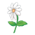 White Daisy Color PNG