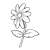 White Daisy Line PNG