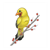 Yellow Bird Color PDF