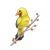 Yellow Bird Color PNG