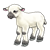 White Lamb Color PNG