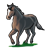 Galloping Horse Color PNG