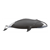 Bowhead Whale Color PDF