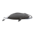 Bowhead Whale Color PNG