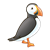 Puffin Color PNG