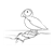 Puffin Line PNG