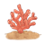 Pink Coral Color PNG