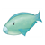 Blue-Green Parrotfish Color PDF
