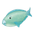 Blue-Green Parrotfish Color PNG