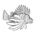 Lionfish Line PDF
