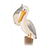 Pelican Color PDF