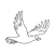 Seagull Line PNG