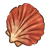 Brown Scalloped Shell Color PNG