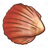 Brown Scalloped Shell