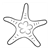 Blue Starfish Line PDF