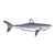 Mako Shark Color PNG