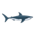 Great White Shark Color PNG