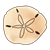 Sand Dollar Color PNG