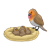 Mother Bird Color PNG