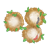 Three Empty Birds' Nests Color PNG
