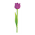 Open Purple Tulip Color PDF