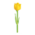 Open Yellow Tulip Color PDF