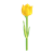 Open Yellow Tulip Color PNG