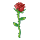 Red Rose with long stem and thorns
