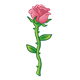 Pink Rose with long stem and thorns
