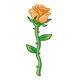 Orange Rose with long stem and thorns