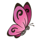 Pink Butterfly with black outlined wings