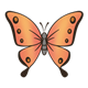 Orange Butterfly with black outlined wings