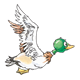 Mallard Duck flying to the side