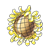 Sunflower Head Color PNG