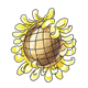 Sunflower Head with brown center