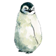 Baby Penguin 1 