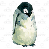 Baby Penguin 2
