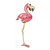 Pink Flamingo Color PDF