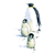 Adult Penguin Color PDF