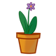 Purple Flower in flowerpot