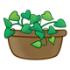 Ivy in flowerpot