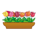 Brown Flower Box with tulips