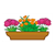Brown Flower Box Color PDF